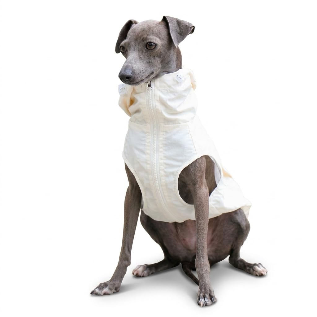 Hooded Dog Coat Waterproof for Italian Greyhound Whippet | Lightweight waterproof nylon dog vest for Italian Greyhounds. Offers UV protection. Ideal for outdoor walks.