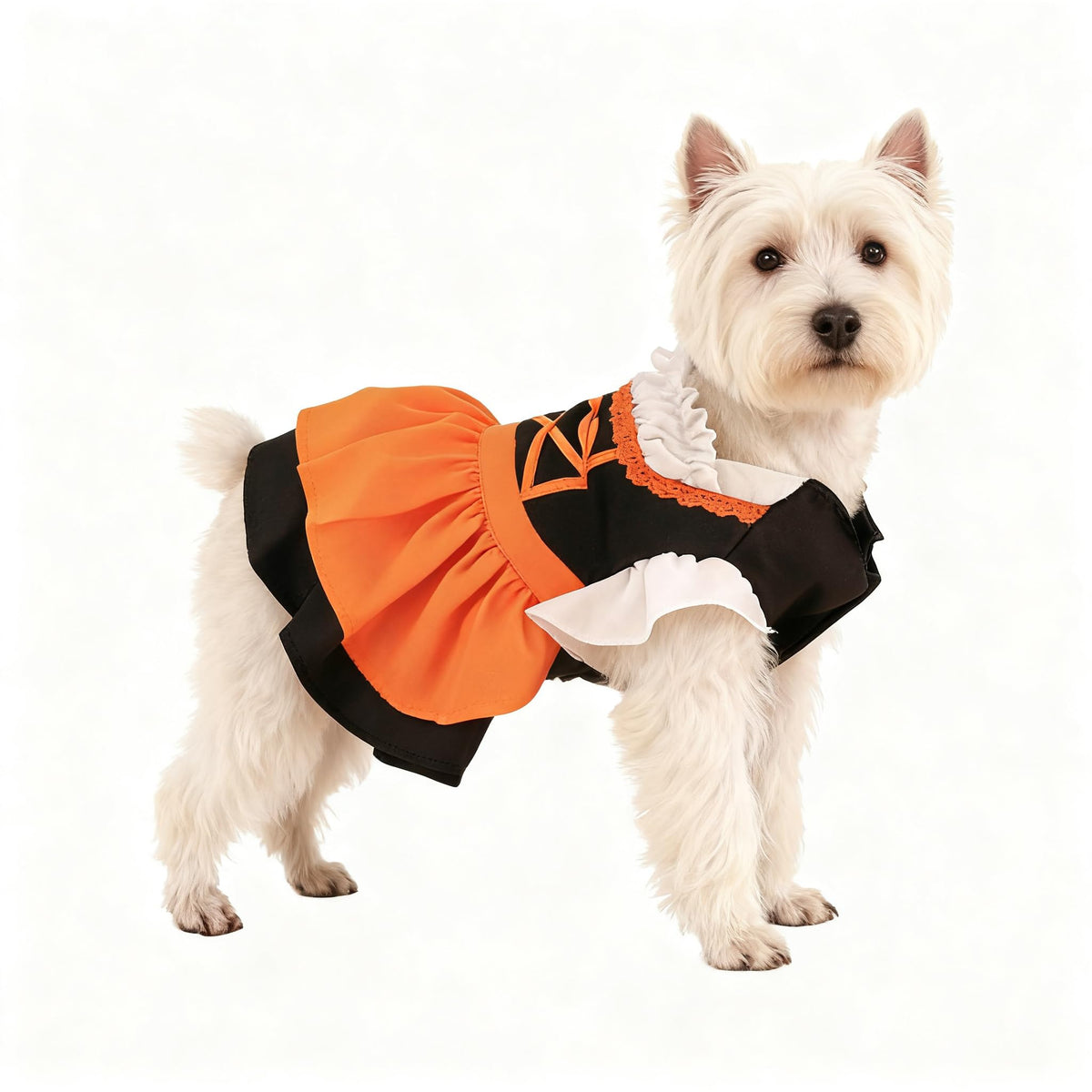 Oktoberfest Costume for Dogs Bavarian Costume for Pets Dirndl for Small Dogs and Cats Halloween Costume Traditional German Dress Orange/Black Small