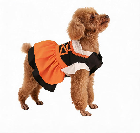 Oktoberfest Costume for Dogs Bavarian Costume for Pets Dirndl for Small Dogs and Cats Halloween Costume Traditional German Dress Orange/Black Small